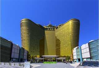 杭州绿化工程团队